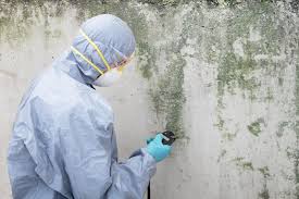  Temple, GA Mold Inspection Pros